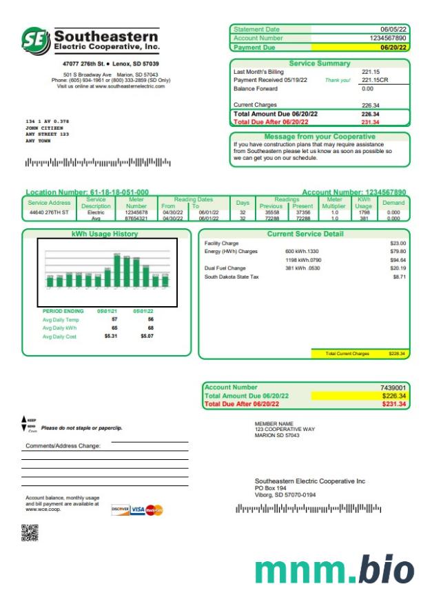 Szablon rachunku za media elektryczne w USA South Dakota Southeastern w formacie Word i PDF